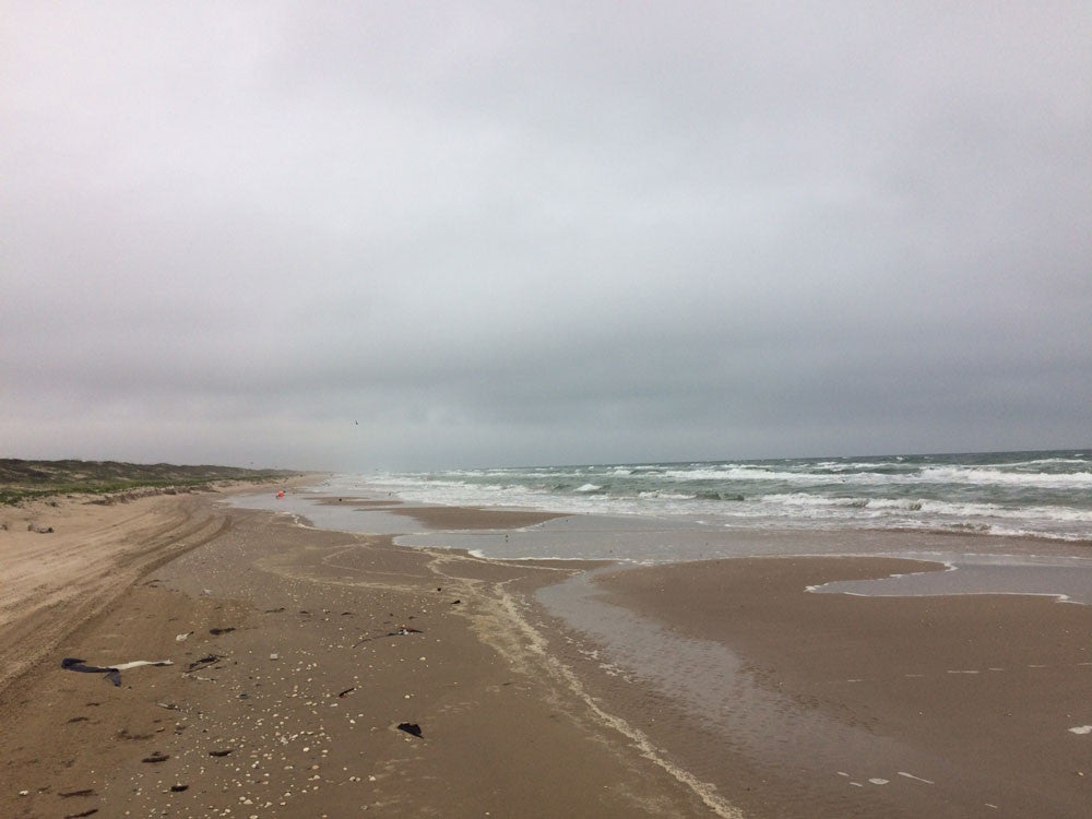 Friends of Padre Beach Report 5/20/2016