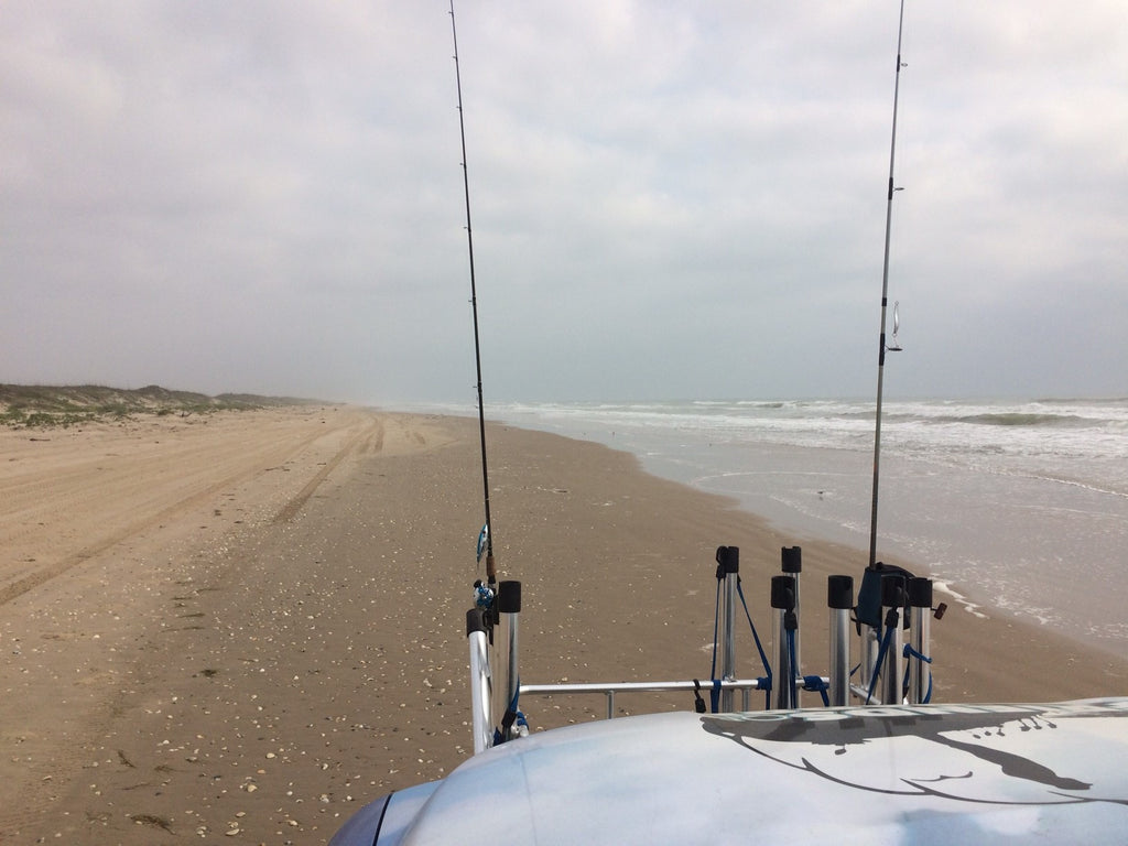 Friends of Padre Beach Report 5/12/2016