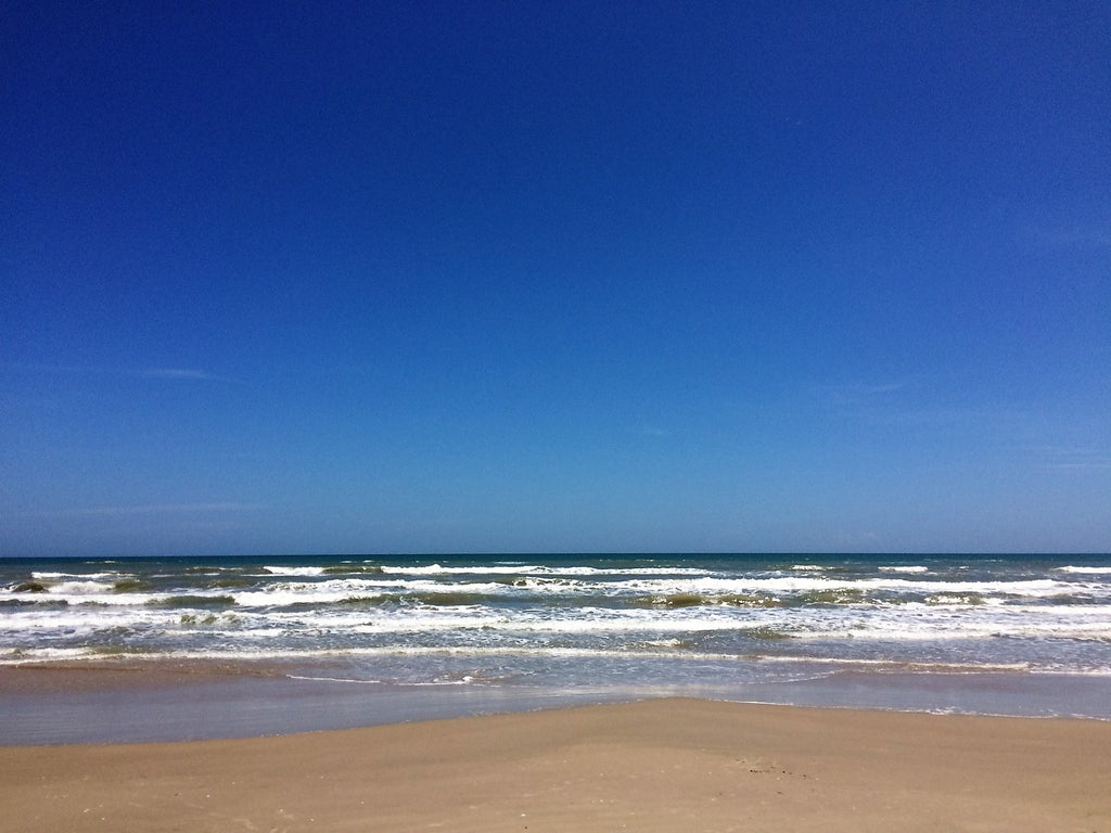 Friends of Padre Beach Report 8/18/2016