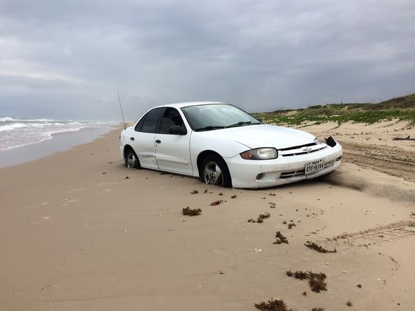Friends of Padre Beach Report 9/28/16 Just in Time for Sharkathon!