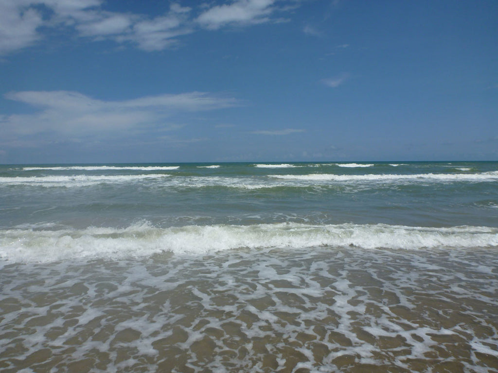 Friends of Padre Beach Report 9/2/2015