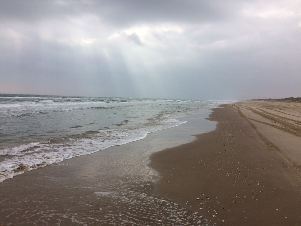 Friends of Padre Beach Report 3/05/2016