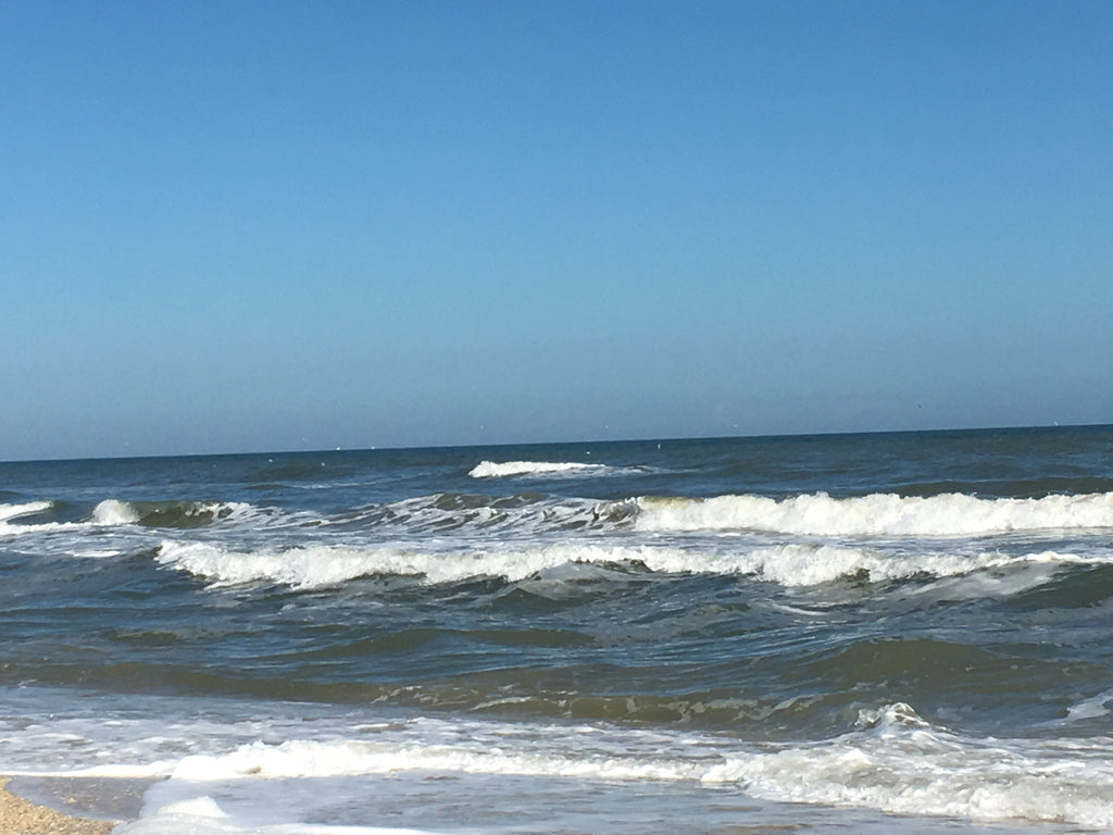 Friends of Padre Beach Report  1/09/2017