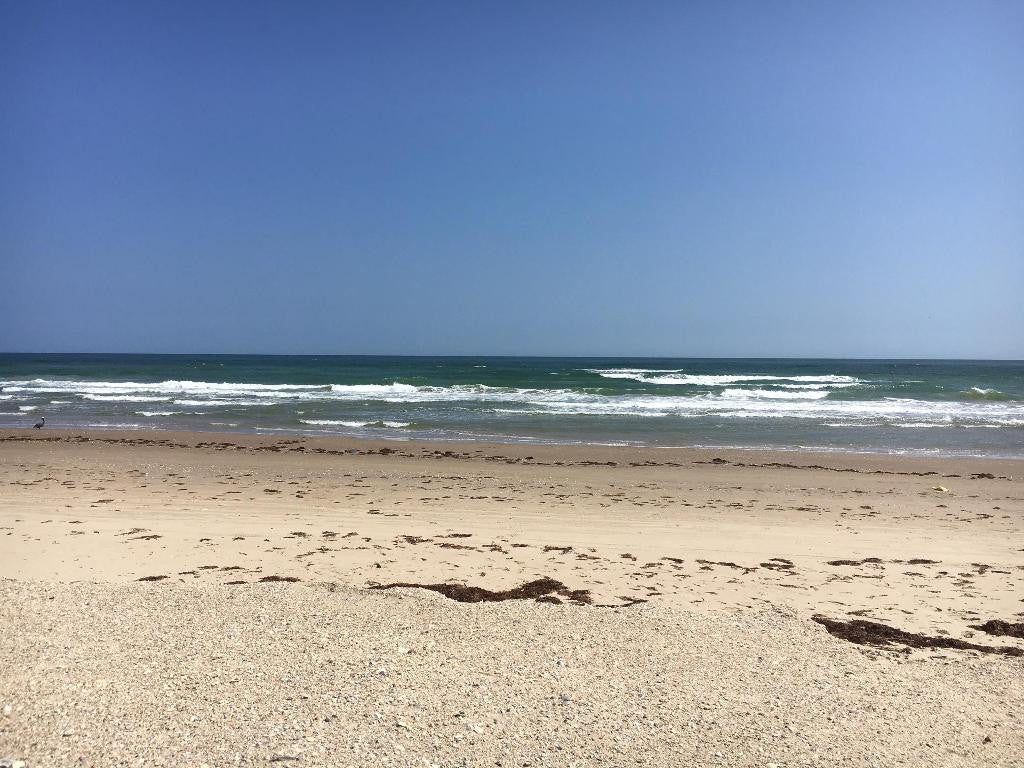 Friends of Padre Beach Report 3/16/2017