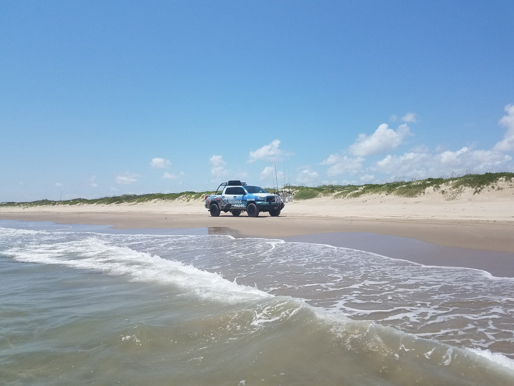 Friends of Padre Beach Report 8/03/2018