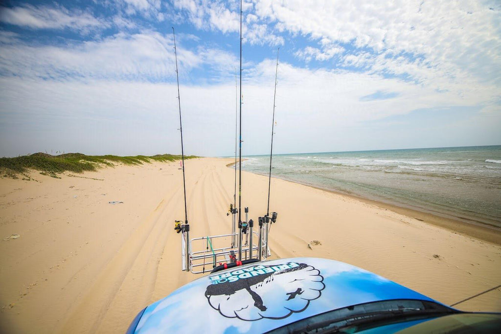 Friends of Padre Beach Report 7/24/2018