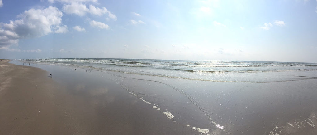 Padre Island National Seashore Red Tide Update 10/2/2015